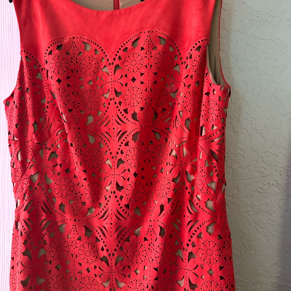 Tadashi Shoji beautiful dress
